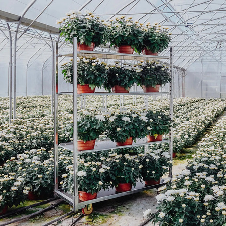 Wózek duński na kwiaty Mega-M baza+3 półki