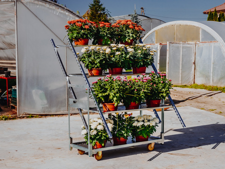 Wózek duński na kwiaty Mega-M baza+3 półki pochylny