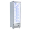 Witryna mroźnicza Mega-M OLAF R62 White N
