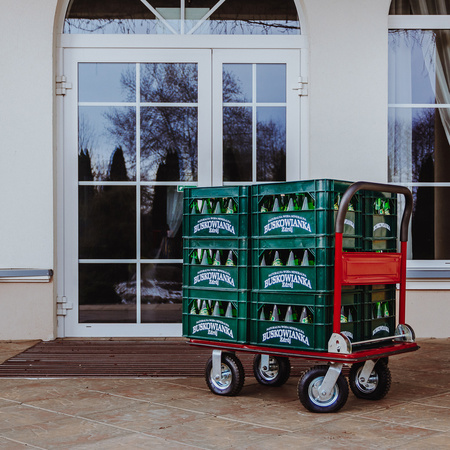 Wózek platformowy magazynowy Mega-M 300kg koła na łożyskach